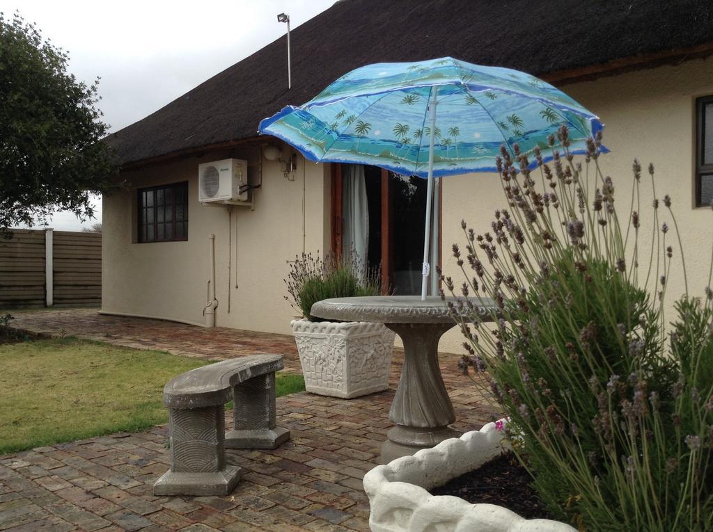 12 On Vaal Drive Guesthouse 밴더바일파크 외부 사진